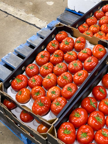 Buy tomatoes in Sydney from MD Provodores on FoodByUs