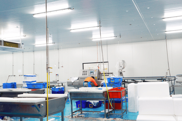 FoodByUs Supplier, FoodLink uses a variety of machinery to improve their process