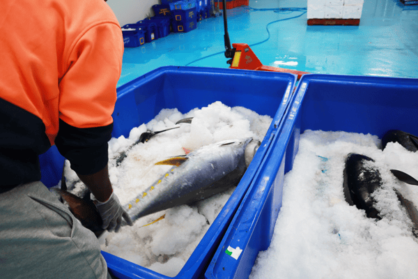 Buy high quality seafood from FoodLink on FoodByUs